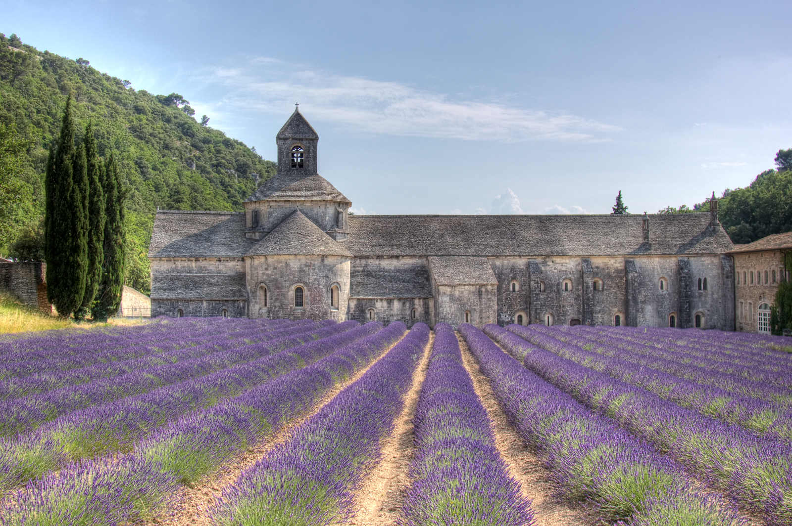 Abbaye de Senanque with lavender - Flickr - Salva Barbera