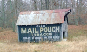 Best e-cig advertising “doesn’t stress resemblance to tobacco”