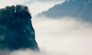 In Poland, many fickle vapers seek their bargains at auction