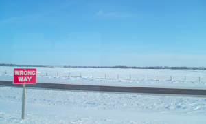 In depth: FDA deeming regs – the problems and solutions