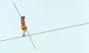 NGOs say WHO should prioritise further study, not regulation