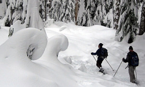 Does snus hold back e-cigarette sales in the Nordic nations?