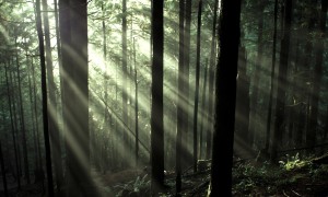 And now BC: another Canadian province moves to limit vaping