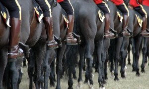 Canadian law-makers favour bespoke regime for e-cigs