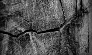 Long-term study to examine health of vapers and dual users