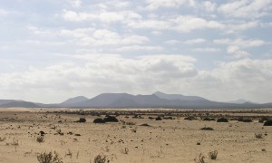 In depth: Spanish e-cig market analysis and outlook, April 2015