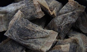 FDA science committee divided on “reduced risk” of snus