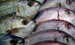 In depth: the changing e-cig market in Portugal, May 2015