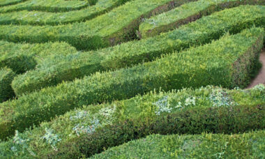 Implementing the TPD: what Europe will do next