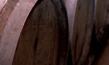 Developing nations advised to adopt pharma model