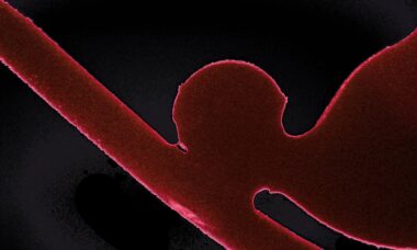 New analysis tool finds “only what’s advertised” in vapers’ blood