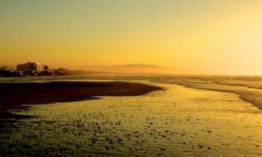 Omani ban makes e-cig sales illegal in most of Arabia