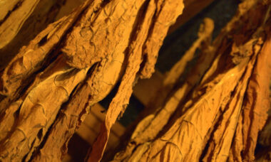 U.S. pharmacy chain includes e-cigs in anti-tobacco crusade