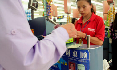 New Chinese trade body promises standardisation, lobbying