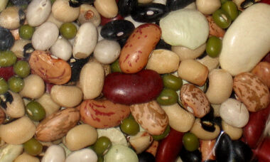 Signs of policy relaxation in New Zealand, but Australia remains strict