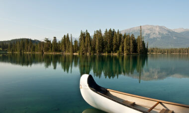 Sharp increase in Canadian vaper numbers and sales