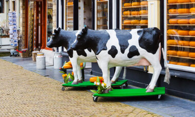 TPD poses tricky problems for small vape retailers in Netherlands