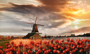 Netherlands: TPD followed closely, but some issues remain unresolved