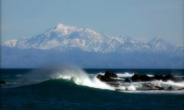 Australia and New Zealand: personal imports lead the field