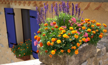 All across France, smaller vape stores are going out of business