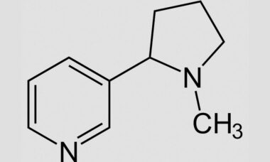FDA advises manufacturers and importers on listing of ingredients