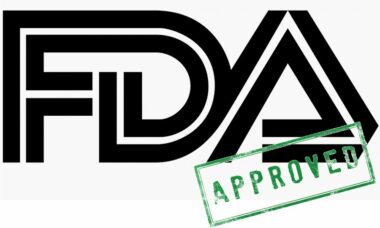 Substantial equivalence: the market approval process in detail