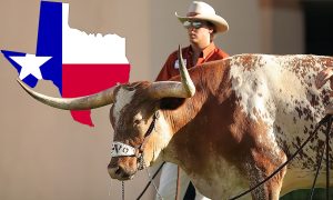 Texas: few restrictions but plenty of red tape