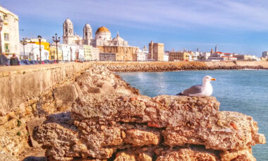 Spanish stores: high-footfall areas attract new customers, bigger spend