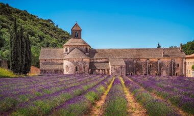 France: e-cigarette distribution through the tobacconist channel