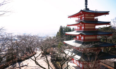 Japan market fragmented with sales concentrated online