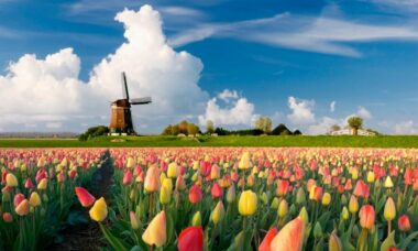 Netherlands: online sales to the fore as users turn to eGo style