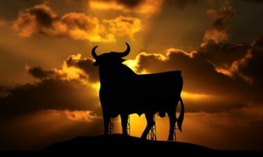 Spain begins transposition of TPD into national law by royal decree