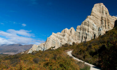 New Zealand clears a legal path for alternative tobacco products