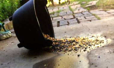 Ireland “should not implement e-cigarette tax”, ministry says