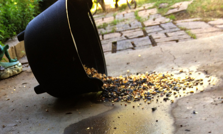 Ireland taxation - Jan