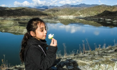 Cyprus: strict on ads and public vaping, but lenient in other respects