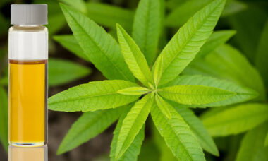 Europe may demand new warning labels on lemon fragrance citral