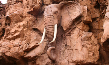 International brands make deep inroads into South African market