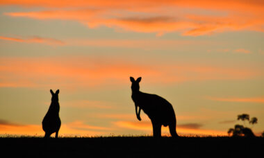 Legalised e-cigs ‘could be worth $150m to Australian convenience stores’