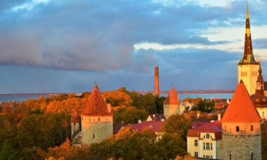 Domestic online sales ban looms: Estonia regulatory report