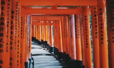 Heated tobacco continues to expand: Japan market report