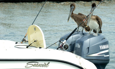 Tax cut due along with more laws: California regulatory report