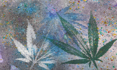 CBD e-liquid – a new market on the rise in Germany