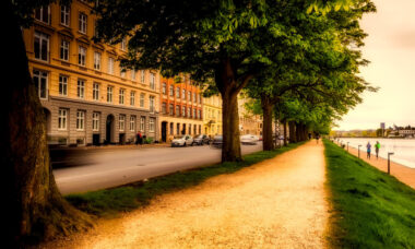 Physical stores dominate: Denmark market report