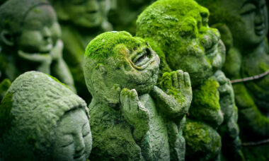 Japan embraces CBD – with eager endorsement in high places