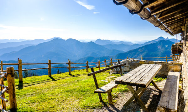 Brand tracker: Germany