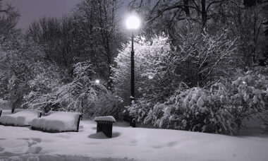 Brand tracker: Russia