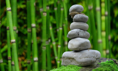 Tax hikes and usage restrictions will impact on HnB in Japan