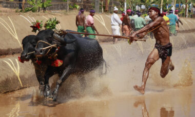 India’s trade ministry says there’s ‘no legal basis’ to ban e-cig imports – yet