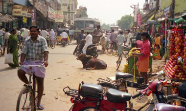 Indian court holds off national ban, but states press on with prohibition